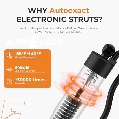 Autoexact Electric Liftgate Struts Fit for 2019-2025 Toyota Rav4, Power Liftgate Actuator, Rear Hatch Lift Support, Trunk Tailgate Struts Shock Replacement# 6892042020 6891042060 (Left & Right, 1Pair)