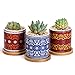 Greenaholics Succulent Pots - 3 Inch Morocco Pattern Cylinder Ceramic Planters for Small Succulent, with Bamboo Saucers, Set of 3