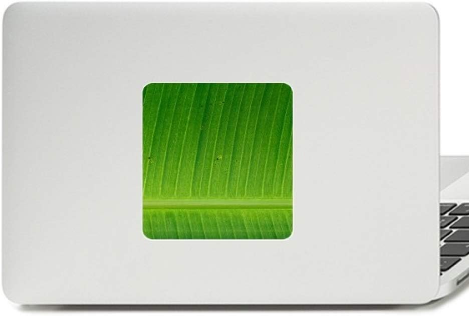 Photograph Banana Leaf Picture Nature Decal Vinyl Paster Laptop Sticker PC Decoration