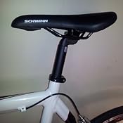 schwinn rs 5.0