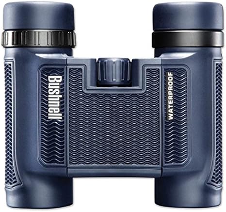 bushnell binoculars 12x25