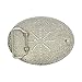 HUABOLA CALYN Western Belt Buckle Initial Letters ABCDEFG to Y-Cowboy Rodeo Gold Large Belt Buckle for Men and Women (B)