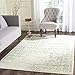 SAFAVIEH Adirondack Collection Area Rug - 5'1