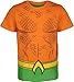 DC Comics Justice League Aquaman Green Lantern The Flash Toddler Boys 5 Pack T-Shirts Logo Multicolored 4T