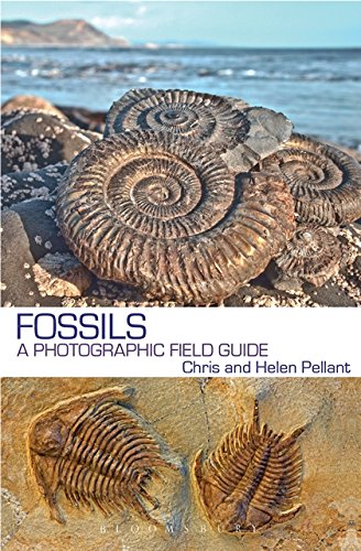 Fossils: A Photographic Field Guide
