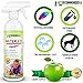 Vet Recommended Waterless Dog Shampoo No Rinse Dry Shampoo for Dogs (16oz), Detergent and Alcohol Free, Apple Extract - Perfect for Spot Cleaning The Dog Coat - Made in USA