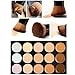 NOMENI 15 Colors Makeup Concealer Contour Palette + Makeup Brush