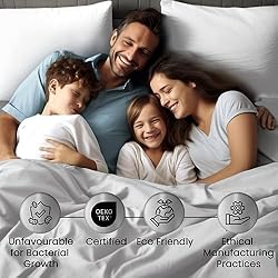 CHATEAU HOME COLLECTION Tencel Cotton Sheet