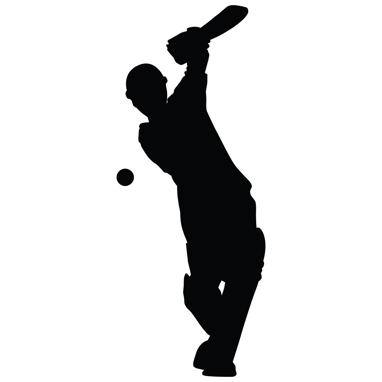 Cricket Wall Decal Sticker 1 Decal Stickers and Mural for Kids Boys