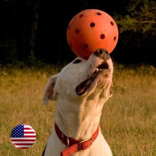 Dog Ball 6" Unbreakoball the Virtually Indestructible