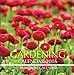 Gardening Calendar 2016: 16 Month Calendar by Jack Smith (2015-10-18) by 