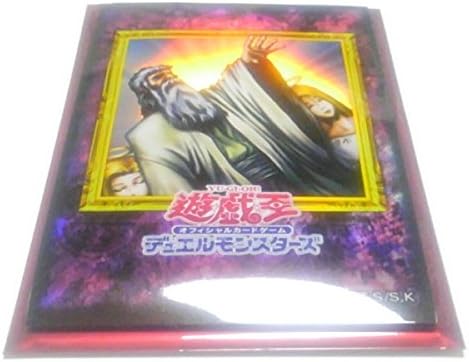 Amazon 遊 戯 王 特製カードスリーブ 5枚入り 神の宣告 遊戯王 特製プロテクター 夏のgo Go カーニバル トレカ 通販 Amazon 遊 戯 王 特製カードスリーブ 5枚入り 神の宣告 遊戯王 特製プロテクター 夏のgo Go カーニバル トレカ 通販