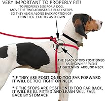 when do puppies stop eating their poop