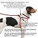 Harness Lead No Pull Dog Harness and Leash Set, Anti Pull Dog Harness for All Breeds and Sizes, One-Piece Cushioned Rope Design Safely Prevents Escaping and Pulling (Medium/Large, Red/Reflective)
