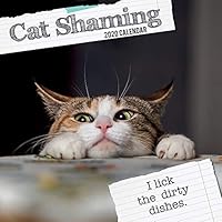 2020 Wall Calendar Cat Shaming 2020 Wall Calendar The Gifted Stationery Co Ltd