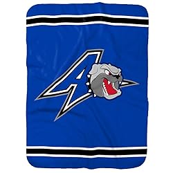 University of North Carolina Asheville Primary Logo