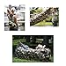 Inflatable Lounger - Chill In Your Waterproof Air Sofa, Hammock, Chair, Kayak, Couch - Seconds to Inflate, Puncture Resistant & Ideal for Camping, Hiking, Beach, Park or Pool (it Floats!) (Camo)