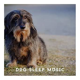 happy dog music
