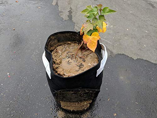 247Garden 5-Pack 15-Gallon Potato Grow Bags/Aeration Fabric Pots w/Handles & Flap Door for Easy Harvesting (Black)