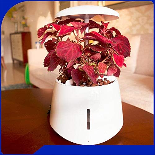 PEIQI GARDEN Plant Grow LED Light Kit, Indoor Harvest Elite for Gourmet or Plant Enthusiasts, Rosemary, Lavender, Seed, Pod Ornamental Gift