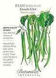 French Filet Bush Bean Seeds - 20 grams