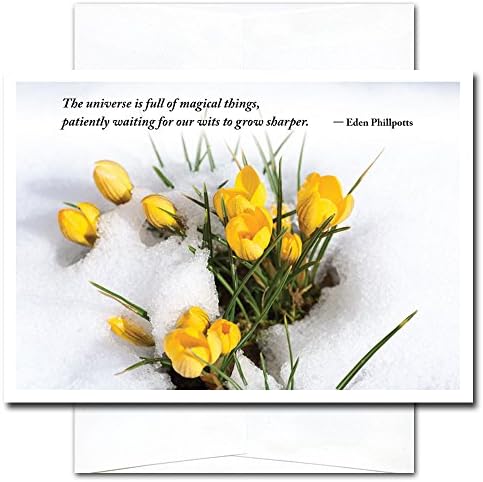 Early Bloomers - New Year Holiday Cards, box of 10 cards &amp; envelopes