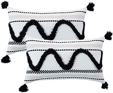 Ailsan Tufted Tassel Throw Pillow Covers,Set of 2 Black and White Wave Pattern Pillow Cases Decorative Square Cotton Cushion Cover for Couch Sofa Bed Party