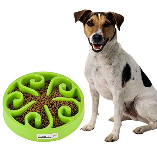 SlowTon Pet Slow Feeder Bowl, Non Toxic Bloat Stop Interactive Dog Feed Water Bowl Fun Puzzle Dish with Non Skid Base Prevent Choking indigestion vomiting with Bonus Clean Brush