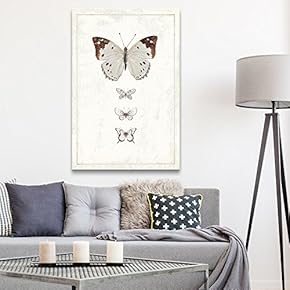 Canvas Wall Art - Hand Drawn Brown Butterfly Collection Series 3 Artwork - Giclee Print Gallery Wrap Modern Home Art Ready to Hang - 12x18 inches