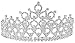 Simplicity Rhinestones Crystal Bridal Headband Pageant Wedding Crown Tiara