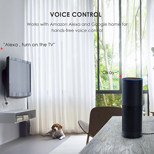 2 Outlet+Compatible+Monitoring+Function+Required