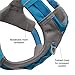 Kurgo Journey Air Dog Harness, Vest Harnesses for Dogs, Pet Hiking Harness for Running & Walking, Reflective, Padded, Includes Control Handle, No Pull Front Clip (Blue, Medium)