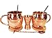 8 Piece Moscow Mule Set 100 Percent Copper Includes 2 16 fl oz Mugs, 2 Straws, 2 Coasters, Jigger, Stirrer for Cocktails Drink Making Mixing Bartending