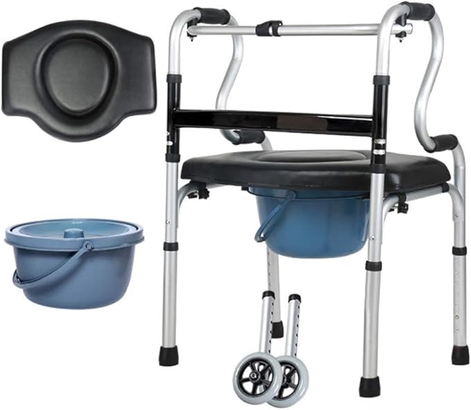 shower chair with toilet seat