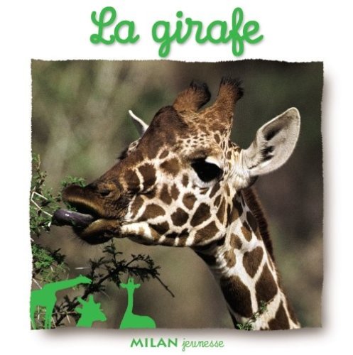 La  girafe