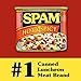 Spam Hot & Spicy, 12 Ounce Can