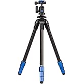 Benro Slim Aluminum Tripod Kit &ndash; Lightweight Travel Tripod with N00 Ball Head, Arca-Swiss Plate, Twist Locks, and Carrying Case for DSLR, Mirrorless &amp; Smartphone Photography (TSL08AN00)