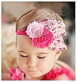 JERN Baby Cute Feather Headband (Red & Pink)