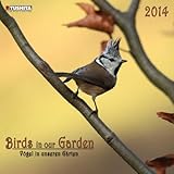 The Birds in Your Garden 2014 (What a Wonderful World) by