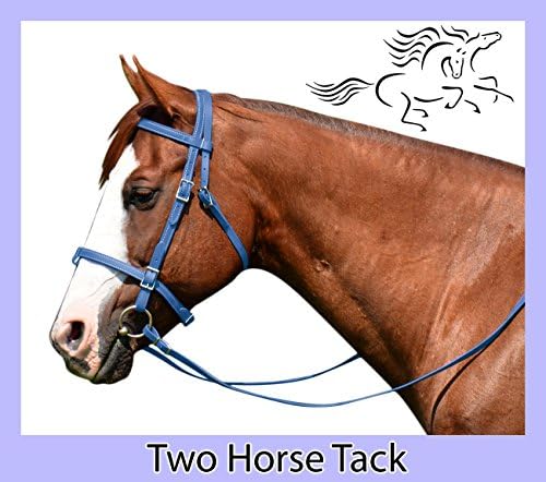 English Bridle &amp; Reins, Made From Beta Biothane - Horse Size, Light Blue Color
