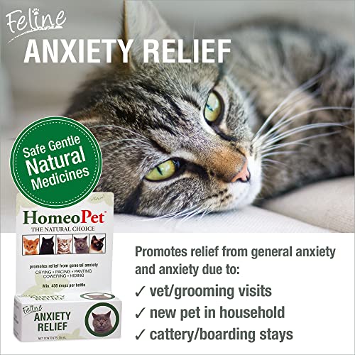 HomeoPet Feline Anxiety Relief, Stress and Anxiety Support for Cats, 15