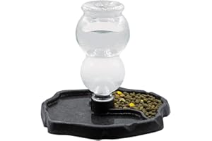 MRTIOO 17oz 2 in 1 Terrarium Tank Reptile Food Feeders Bowl, Water Feeder Automatic Water Dispenser Waterer Feeding Accessories, for Geckos Lizards Turtle Bearded Dragons - B