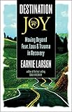 Destination Joy: Moving Beyond Fear. Loss, and Trauma in Recovery. by 