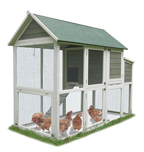 Coops Feathers Wooden Asphalt Roof Chicken Coop 35 X 74 X 57 Graywhite