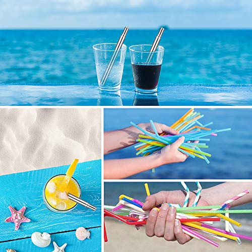 Reusable Portable Collapsible Straws, Telescopic Metal Straws Stainless Steel Drinking Straws with Aluminum Case & Cleaning Brush (Silver-2pcs)