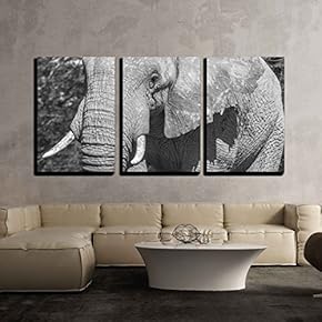 3 Piece Canvas Wall Art - Close Up Portrait of an Elephant in Black and White - Modern Home Art Stretched and Framed Ready to Hang - 16"x24"x3 Panels