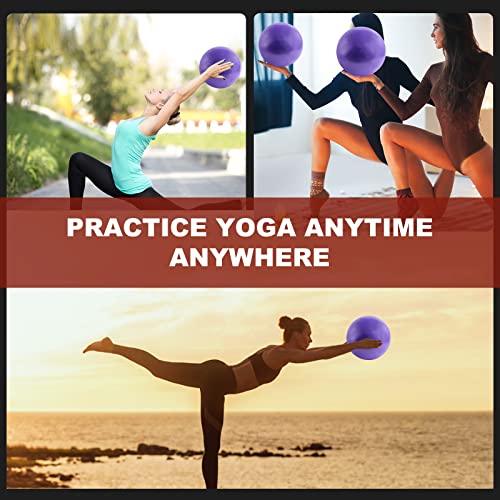 TECHP Pilates Mini Exercise Ball 8 Inch (Inflated) Stability Ball