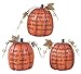 Holiday Designs Inspirational Fall Small Pumpkin Trio - Set of 3 - Thanksgiving Decoration or Table Centerpiece Decor
