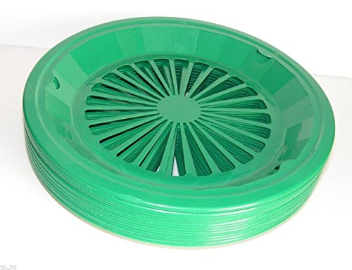 Tropical Green 10-3/8