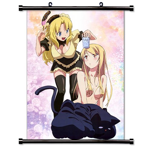Sakurasou No Pet Na Kanojo Anime Fabric Wall Scroll Poster (32" x 47") Inches